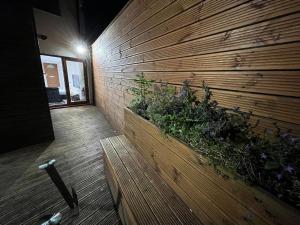 ロンドンにあるSpacious One Bed Property in Wembleyの紫色の花が植えられたプランターのある木の壁