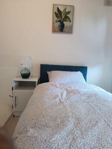 Letto o letti in una camera di Olashade Villa