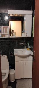 a bathroom with a sink and a toilet and a mirror at Apartman Una Prcanj in Prčanj +16 photos