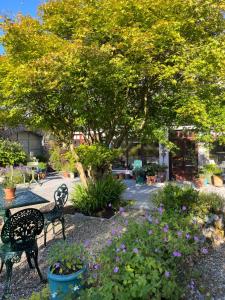 two benches sitting in a garden with flowers at Wild Honey Inn in Lisdoonvarna