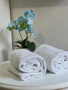 Fotografie z fotogalerie ubytování Tavalero Rooms v destinaci Santo Domingo