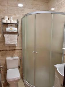 a shower in a bathroom with a toilet and a sink at Aria Apartment in Ulcinj