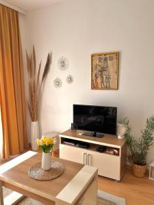 a living room with a tv and a table at Aria Apartment in Ulcinj