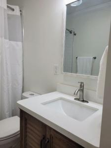 a bathroom with a sink and a toilet and a mirror at Renovated 2 Bed Walltown Home Walk To Duke! B in Durham