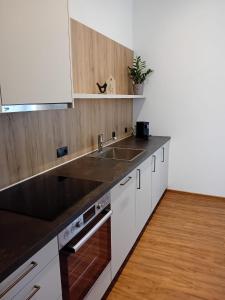 une cuisine avec un évier et un plan de travail dans l'établissement Haus Eisenhut INKLUSIVE SuperSommerCard, à Fiss