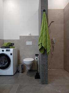 une salle de bain avec machine à laver et toilettes dans l'établissement Haus Eisenhut INKLUSIVE SuperSommerCard, à Fiss