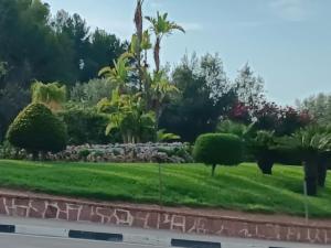 un giardino visto dal finestrino di un'auto di Gilet senderismo bici parking 20 min Valencia a Gilet