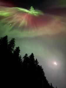 Foto sihtkohas Juneau asuva majutusasutuse Waterfront on Glacier galeriist
