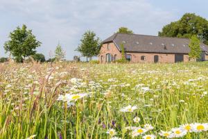a field of flowers in front of a building at B&B Mijllerzicht in Lunteren