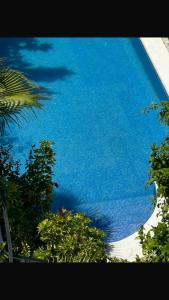 Foto dalla galleria di Sea Marbella a Marbella