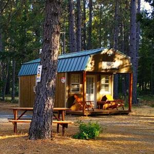a tiny house with a picnic table and a tree at Applegate Cabin 2 in O'Brien