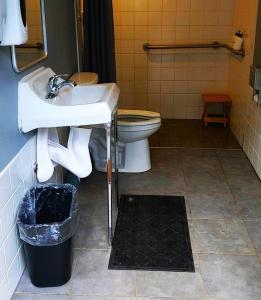 a bathroom with a sink and a toilet at Diggins Cabin 2 in O'Brien