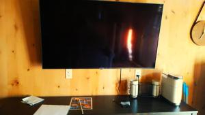 TV a/nebo společenská místnost v ubytování Lazy Bear Cabin 6 - Sleeps Up To 4