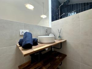 a bathroom with a sink on a wooden counter at Gare Unique Duplex lumineux in Amiens +5 photos