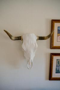a skull of a bull with horns hanging on a wall at Tesuque Outpost Casita F Best views in Santa Fe in Santa Fe
