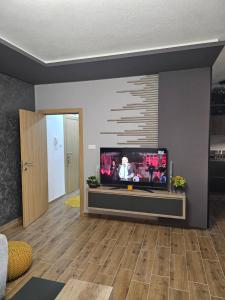 TV a/nebo společenská místnost v ubytování SOUL Apartman + 18 fotografií