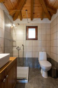 a bathroom with a toilet and a shower and a sink at Old Winery Stonehouse in Peletá +22 photos