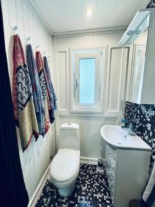 a small bathroom with a toilet and a sink at Keskväljakul asuv hubane maja in Võsu +5 photos