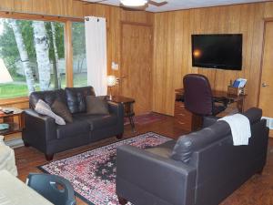 un soggiorno con un divano e una televisione di Birch Shores Resort - The Hemlock Cottage a Empire