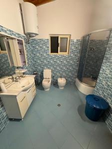 a blue tiled bathroom with two toilets and a sink at Villa Cepeli in Golemasi