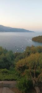 a view of a large body of water with boats at Dimitra Seaview Apartments K in Kommeno