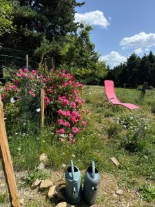 Vonkajšia záhrada v ubytovaní Gîte Ranch Le Serpolet