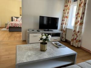 TV a/nebo společenská místnost v ubytování Ferienwohnung Langenlois
