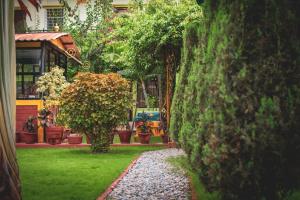 Zahrada ubytování Galaxy Guest House