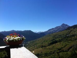 a pot of flowers sitting on the edge of a ledge at La Grange in Sauze di Cesana