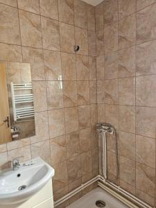 a bathroom with a sink and a shower at Vila Angelys in Tuzla