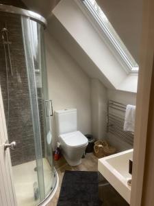 a bathroom with a shower and a toilet and a sink at Cosy, private, cabin suit couples looking for a retreat and business traveller, near Frieth in High Wycombe