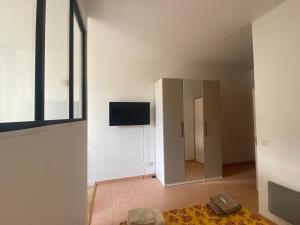 a living room with a mirror and a television at Joli studio en centre-ville in Corte
