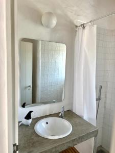 un bagno con lavandino e specchio di Casa Sul - Casas de Seixe a Baiana