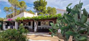 MacastreにあるCasa Azahara your Valencian Villaの目の前に植物がたくさんある家