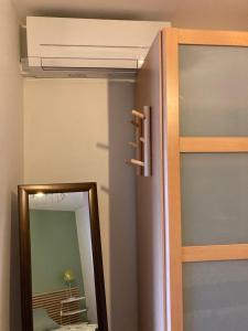 安锡Appartement ALBIGNY Centre Lac Annecy的一间带镜子和吊扇的卧室 更多6张照片