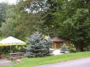 a gazebo with a christmas tree and a picnic table at Hotel Kralicek in Turnov