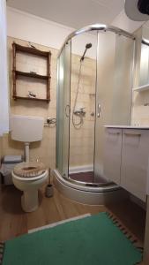 a bathroom with a shower and a toilet and a green rug at Vila Pajo in Varaždinske Toplice