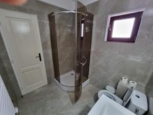 a bathroom with a shower and a toilet and a sink at Pensiunea Maty in Băile Herculane