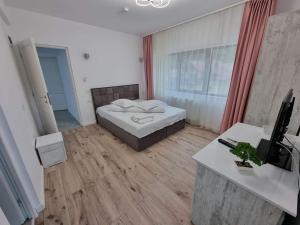 a bedroom with a bed and a desk with a television at Pensiunea Maty in Băile Herculane +7 photos