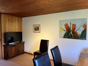TV a/nebo společenská místnost v ubytování Chalet ALPEN LOTUS