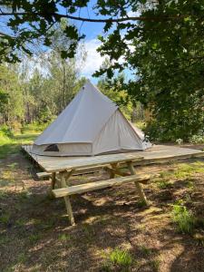 卡尔康Camping la Kahute - Tente tipi au coeur de la fôret的相册照片