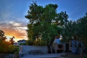 a tree with a picnic table in front of a building at Apartmani Irena in Rtina