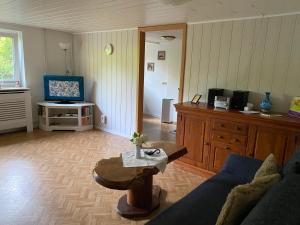 a living room with a couch and a tv at Romantikgarten in Amelinghausen