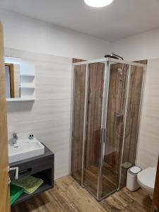 Vannituba majutusasutuses Hostel Bad Goisern