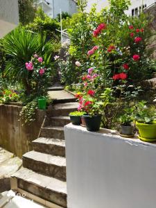 Photo de la galerie de l'établissement Apartmani "Srma" Srma 1, à Herceg-Novi