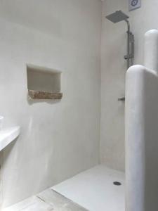 a white bathroom with a shower and a sink at Brizo - TCupStudios in Kythira