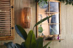 a window on a wall with a plant in front of it at The POD Suite Hostel Village in Valencia