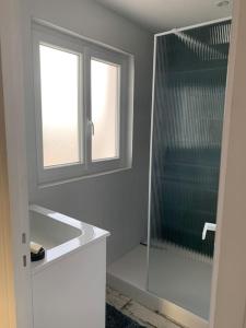baño con ducha, lavabo y ventana en Appartement Océane terrasse panoramique, en Saint-Palais-sur-Mer 19 fotos más