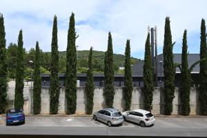 two cars parked in a parking lot next to a row of trees at Fontana Apartment in Perugia