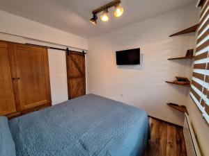 a bedroom with a bed and a tv on the wall at Apartment Pirin in Bansko +6 photos